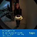 D235 3.webp